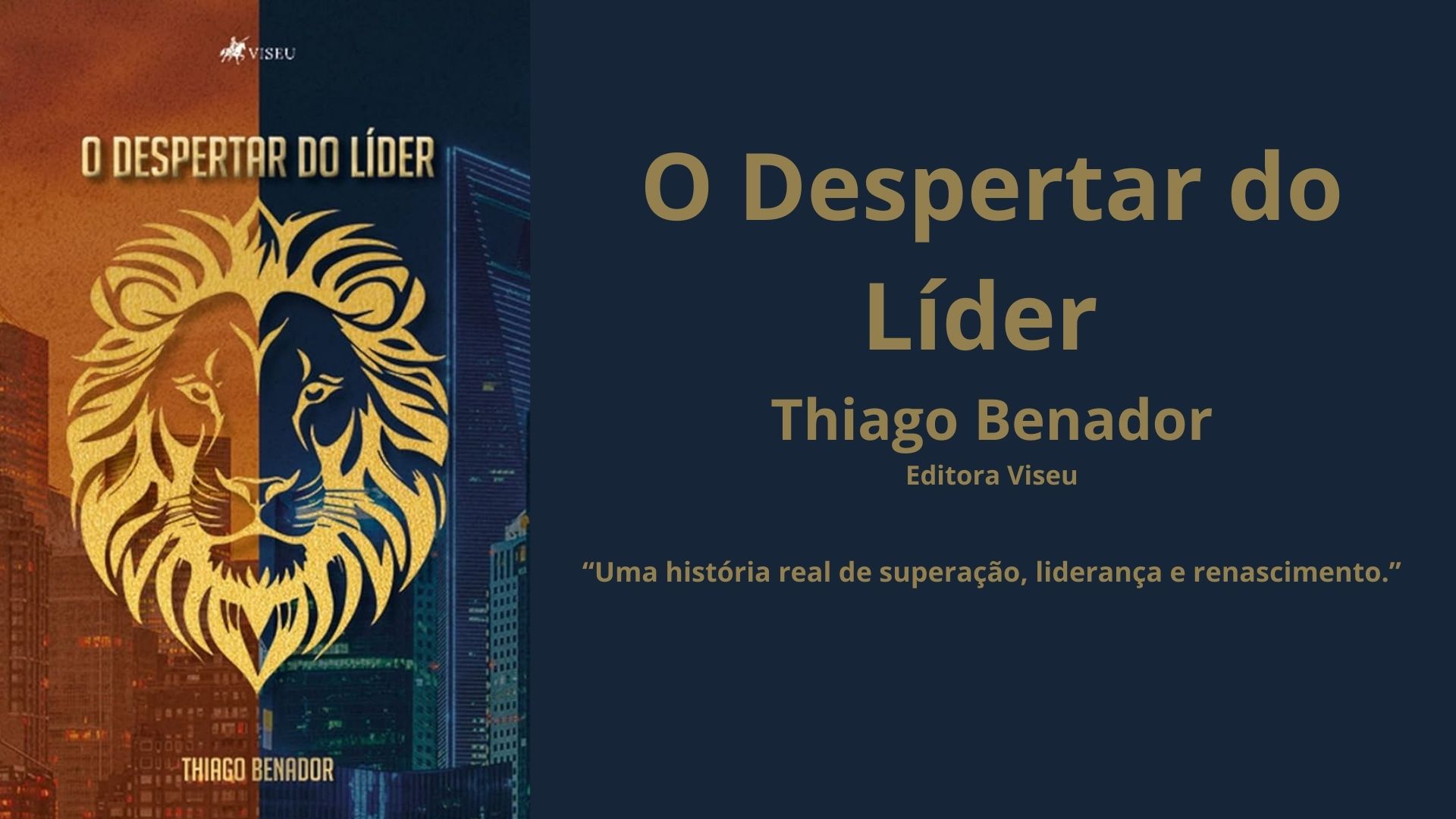 O Despertar do Líder capa.jpg